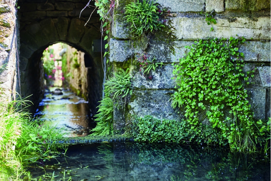 Lavoir