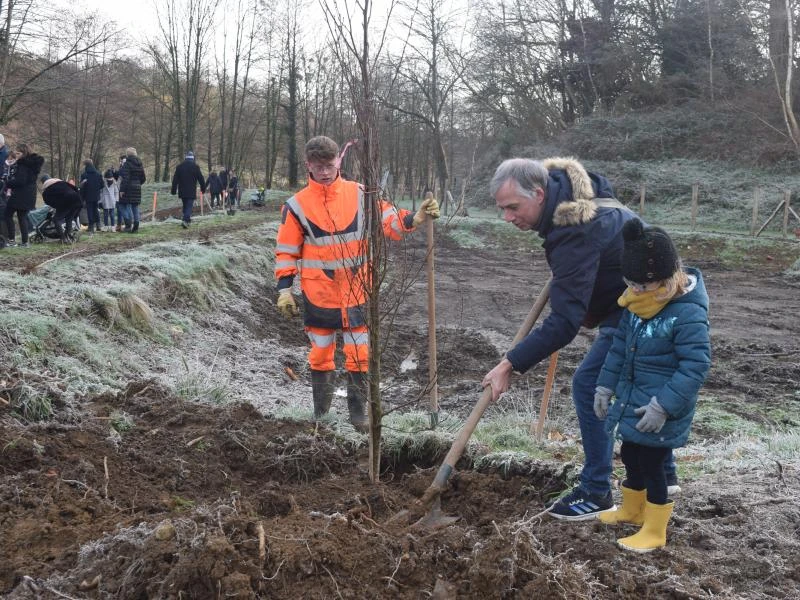 Une Naissance, Un arbre